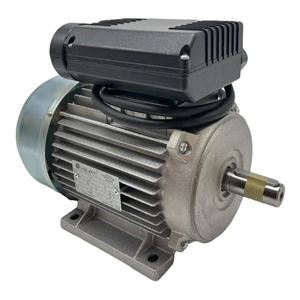Electric Motor