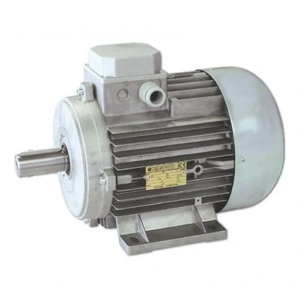 Electric Motor