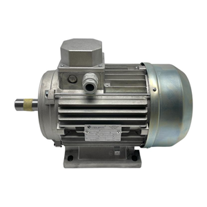 Electric Motor