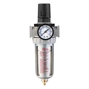 Gas Regulator