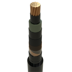 Power Cable