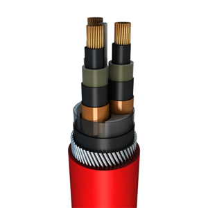 Power Cable
