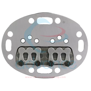 Valve Plate Gasket