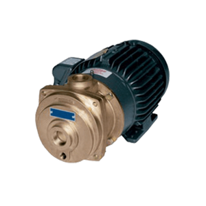 Vacuum Pump