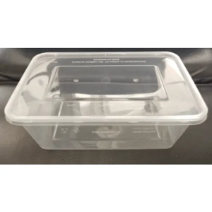 Disposable Plastic Box