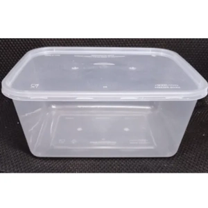 Disposable Plastic Box