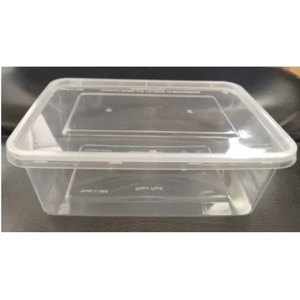 Disposable Plastic Box