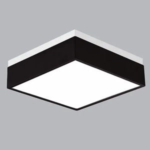 General Purpose Downlight
