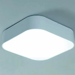 General Purpose Downlight