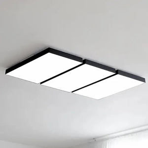 General Purpose Downlight