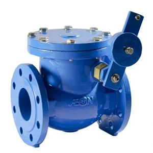 Swing Check Valve