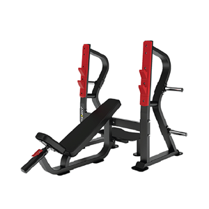 Weight Bench