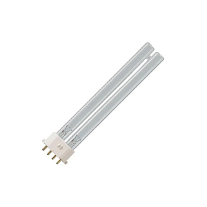 Fluorescent Lamp