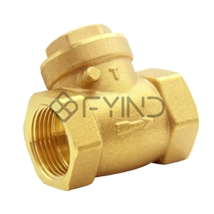 Swing Check Valve