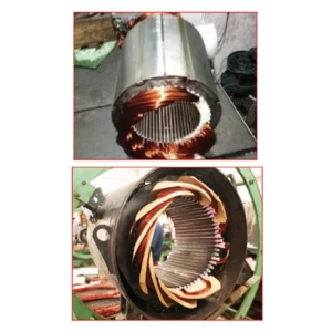Motor Rewind Service