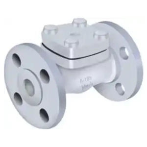 Check Valve