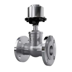 Control Valve