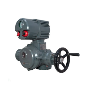 Electric Actuator