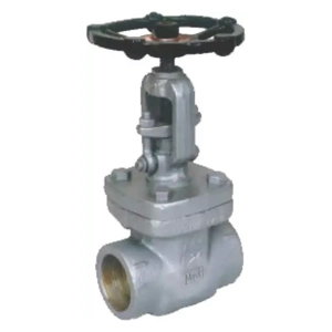 Gate Valve