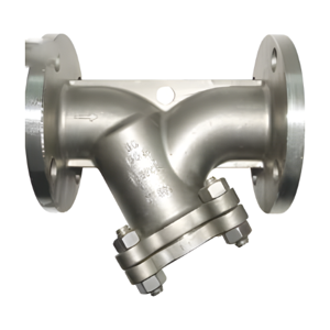 Y Strainer