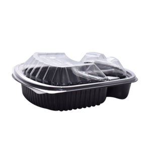 Disposable Plastic Box