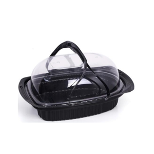 Disposable Plastic Box