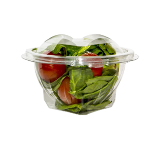 Disposable Plastic Box