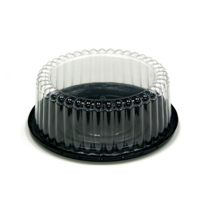 Disposable Plastic Box