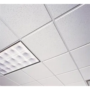 Acoustic Ceiling Tile