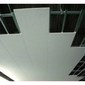 Acoustic Ceiling Tile