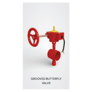 Butterfly Valve