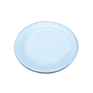 Disposable Foam Plate