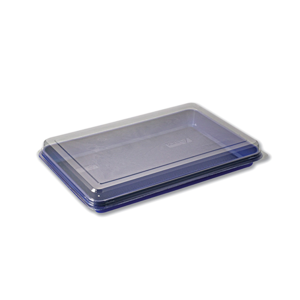 Disposable Plastic Box