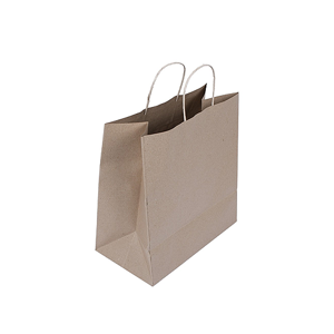 Paper Bag