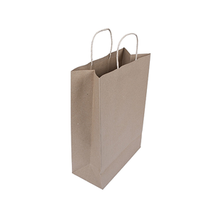 Paper Bag