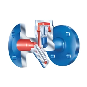 Steam Trap