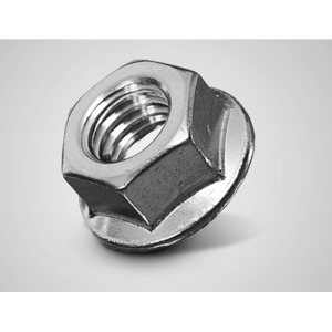 Flange Nut