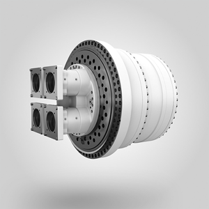 Planetary Gear Reducer