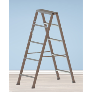 Two Way Ladder