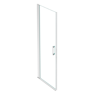 Swing Door