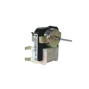 Electric Motor