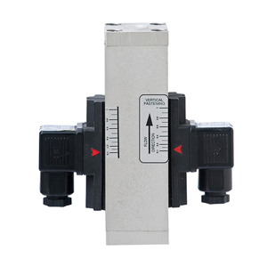 Flow Switch