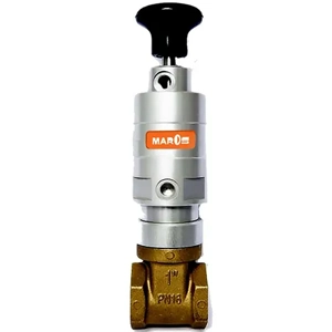 Gate Valve