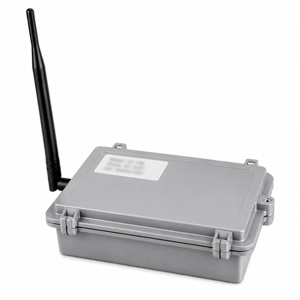 Network Router