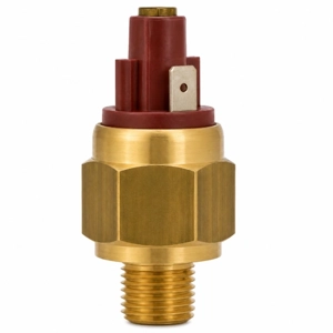 Vacuum Switch