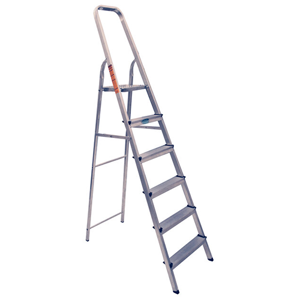 Platform Ladder