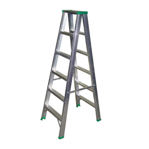 Two Way Ladder