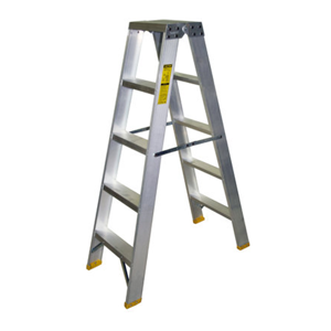 Two Way Ladder