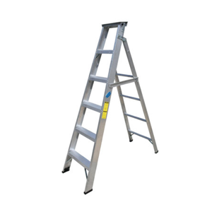 Two Way Ladder