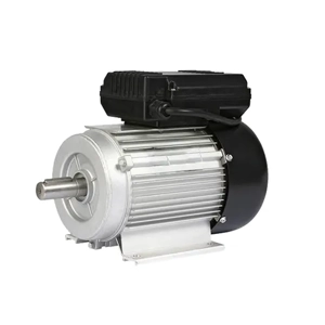 Compressor Motor